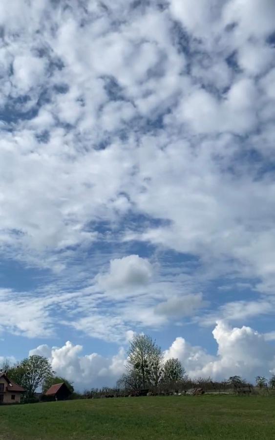 Agroturystyka Nad Jeziorem Silickim Ilinscy Silice Exterior foto